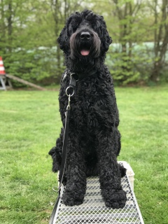 Balou (2021)