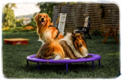 480D7121-076C-4F0A-B257-8BD101306796