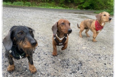 743CDA69-B739-4D85-BA48-4359C9EC62F6