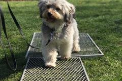 74684989-2022-43EE-82F8-9315A7C9DA78