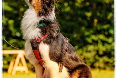 DC514ED7-58DC-49F2-A9E6-237F7958232C