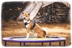 DC7E298C-1697-4BC7-B5E9-C607C25B19BC