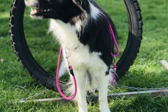 E5A21DDF-8F07-48A8-9E22-9BF2F19B62CE