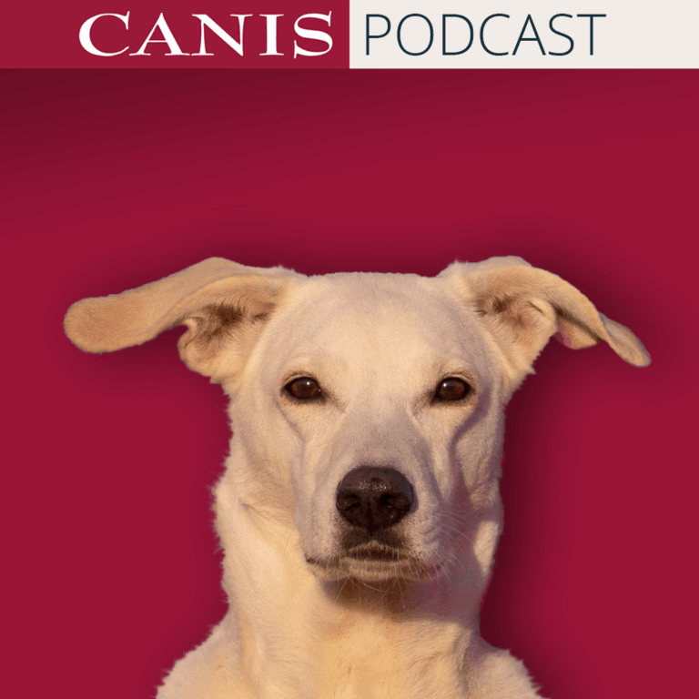 Die Nase des Hundes