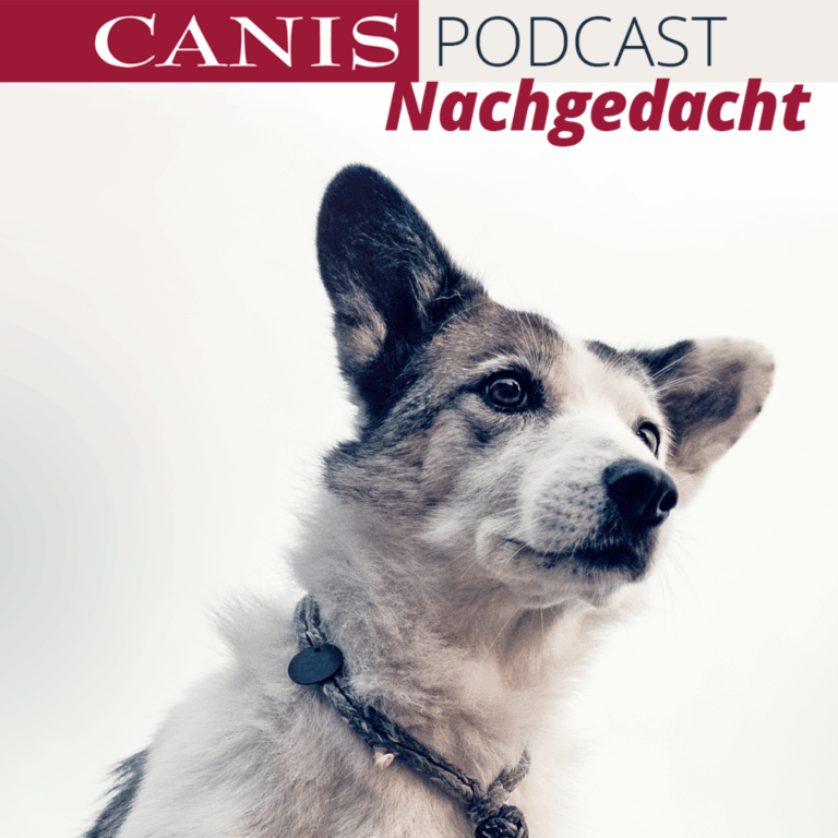 Ist mein Hund glücklich?
